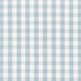 Schumacher Elton Cotton Check Sky Fabric