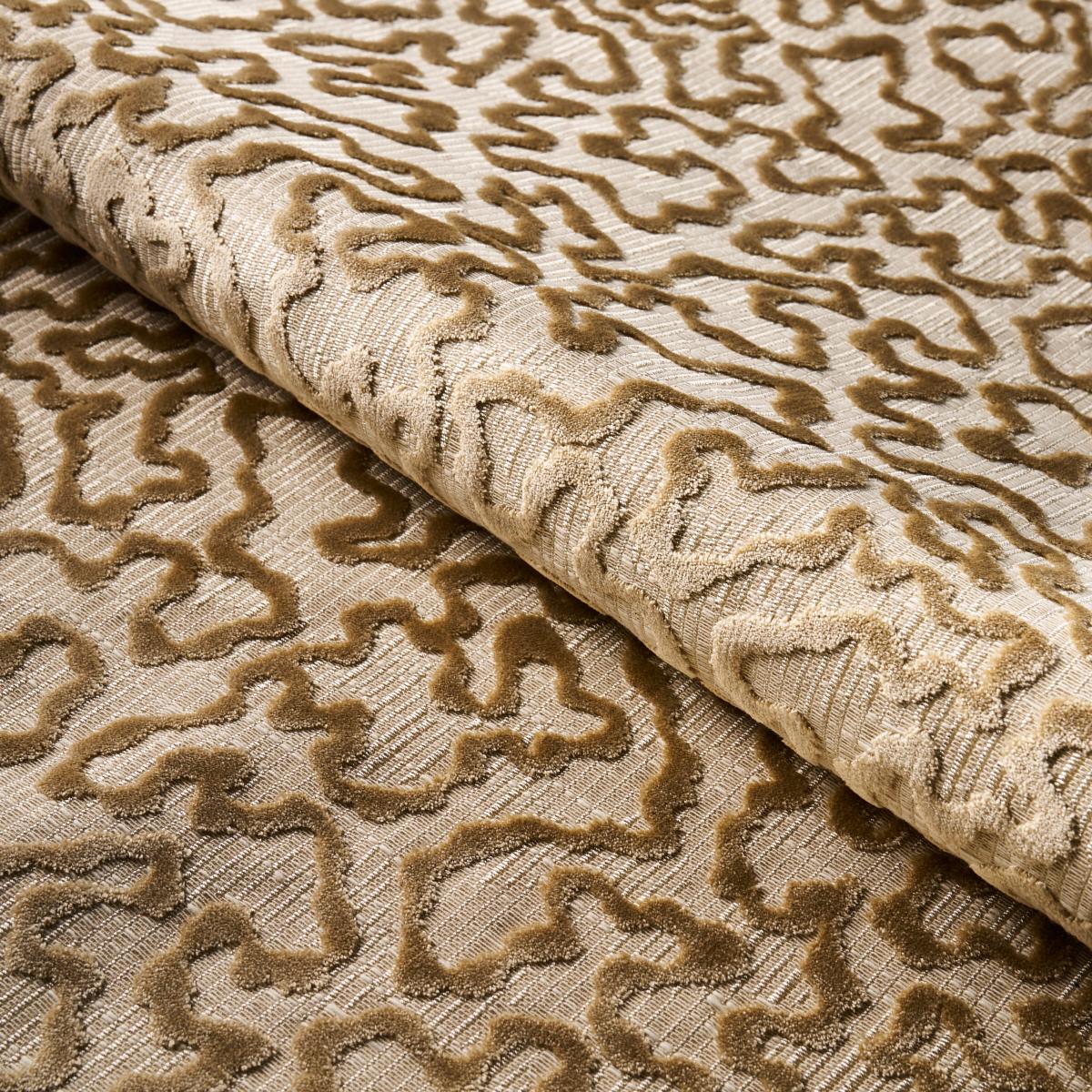 Schumacher Janis Velvet Champagne Fabric – DecoratorsBest