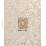 Schumacher Janis Velvet Champagne Fabric