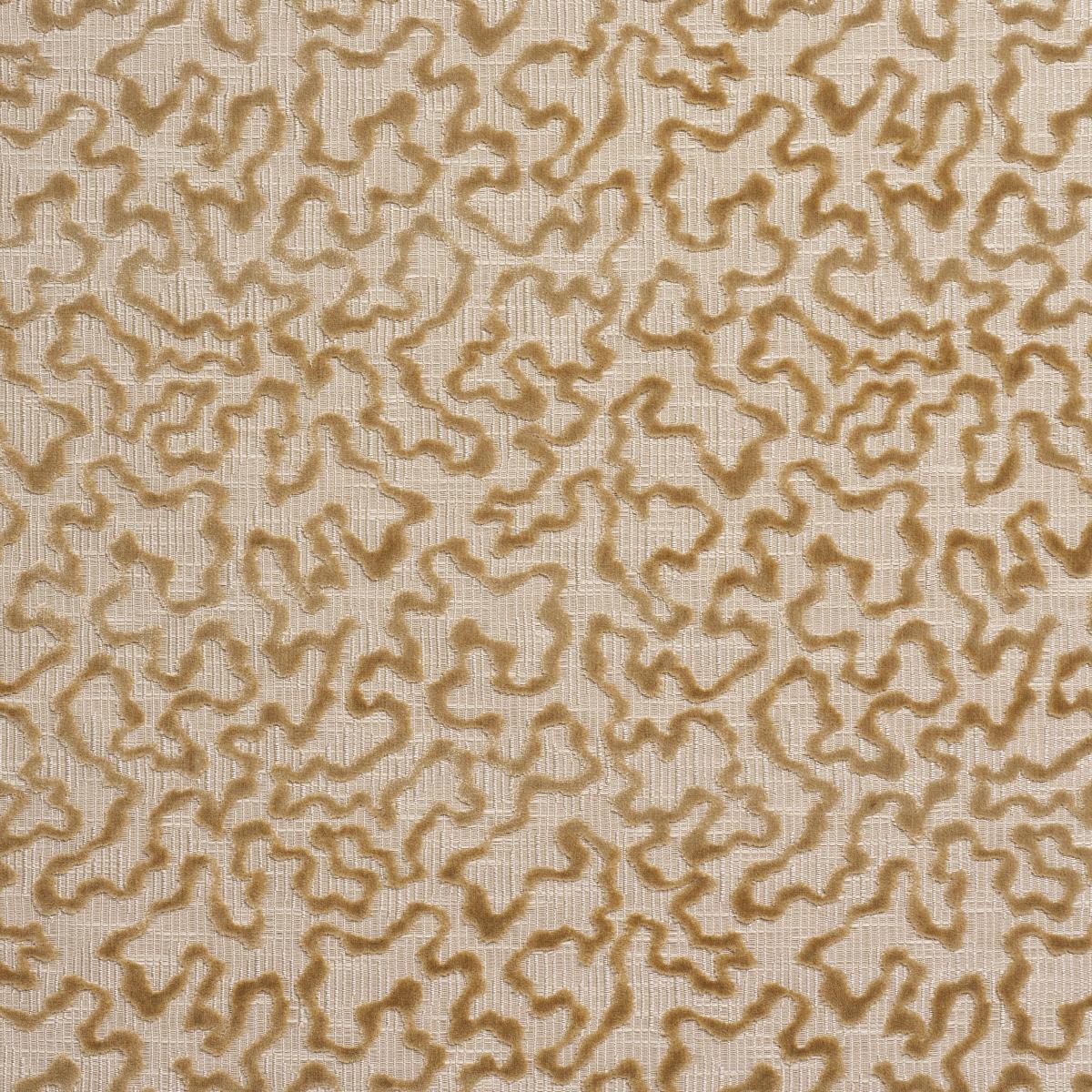 Schumacher Janis Velvet Champagne Fabric