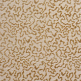 Schumacher Janis Velvet Champagne Fabric