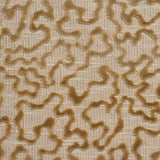 Schumacher Janis Velvet Champagne Fabric