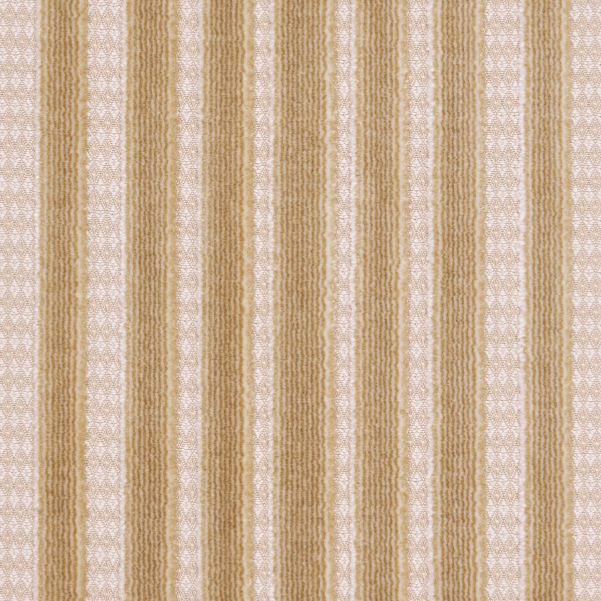 Schumacher Chimay Stripe Velvet Champagne Fabric