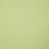 Pindler CLIFTON CELERY Fabric