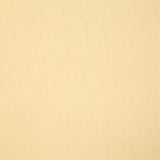 Pindler CLIFTON SOLEIL Fabric