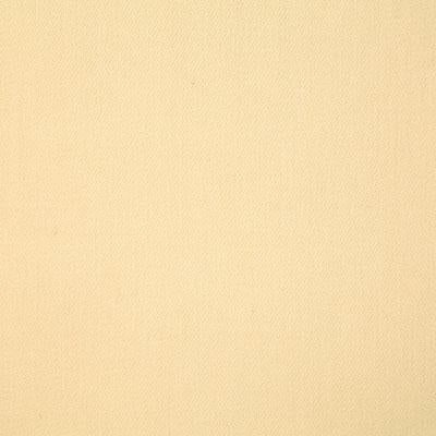 Pindler CLIFTON SOLEIL Fabric