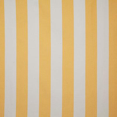 Pindler CRESTLINE SUNSHINE Fabric
