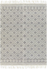 Surya Farmhouse Tassels FTS-2303 2' x 3' Rug