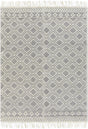 Surya Farmhouse Tassels FTS-2303 2' x 3' Rug