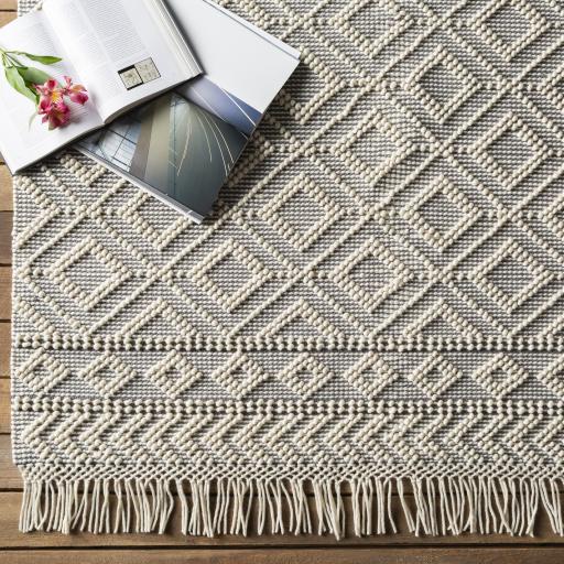 Surya Farmhouse Tassels FTS-2303 2' x 3' Rug