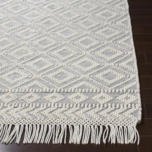 Surya Farmhouse Tassels FTS-2303 2' x 3' Rug