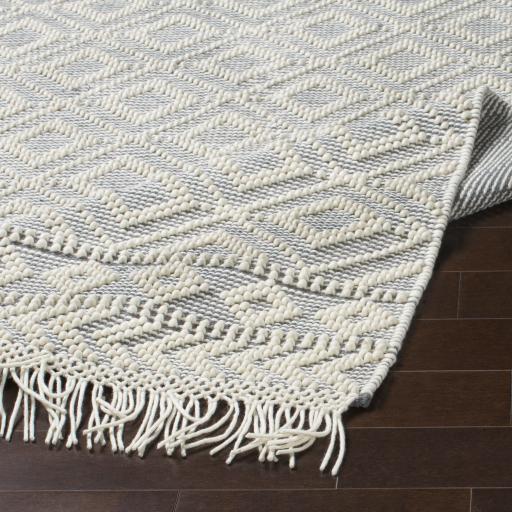 Surya Farmhouse Tassels FTS-2303 2' x 3' Rug