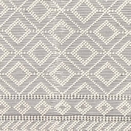 Surya Farmhouse Tassels FTS-2303 2' x 3' Rug