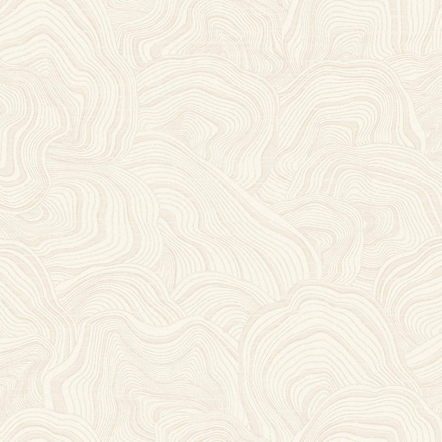 Kravet DESIGN W3719 1 Wallpaper