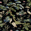 Kravet DESIGN W4277 83 Wallpaper