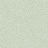Kravet DESIGN W4281 23 Wallpaper