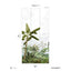 Papermint Amazonia Pack 1 in Green Wall Mural