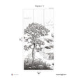 Papermint Wild Coast Pack 1 in Gray Wall Mural