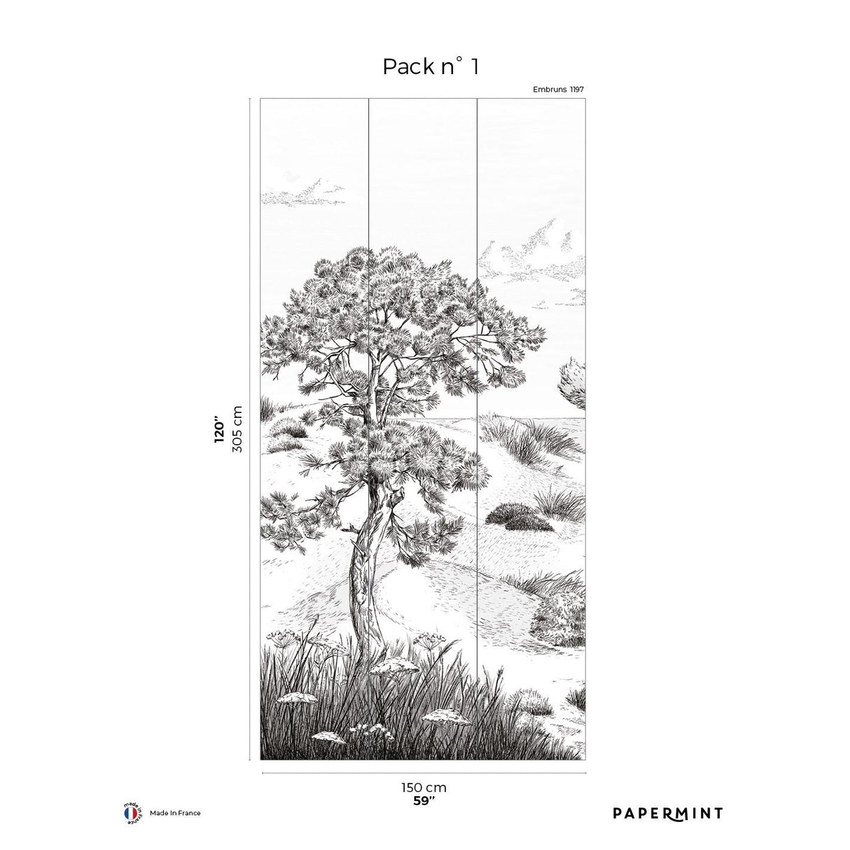 Papermint Wild Coast Pack 1 in Gray Wall Mural