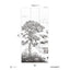 Papermint Wild Coast Pack 1 in Gray Wall Mural