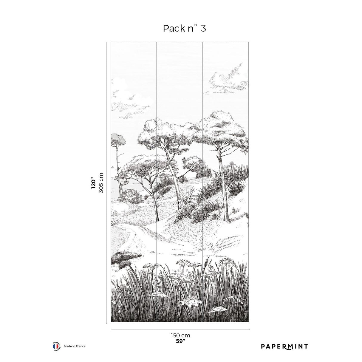 Papermint Wild Coast Pack 3 in Gray Wall Mural