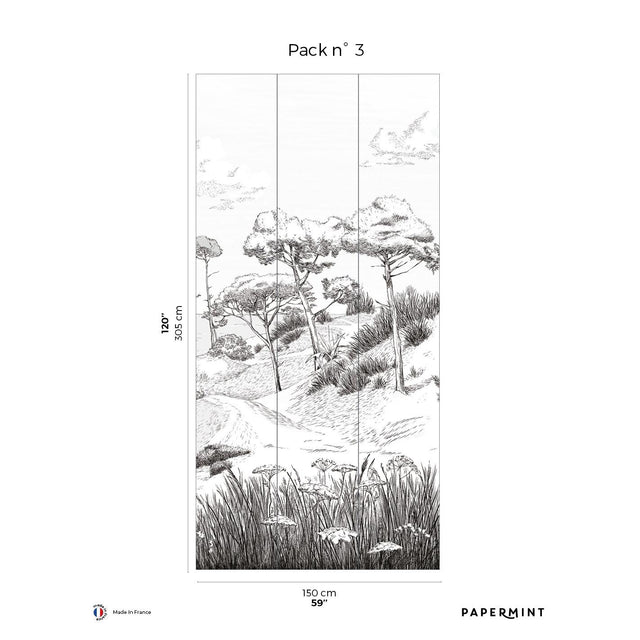 Papermint Wild Coast Pack 3 in Gray Wall Mural