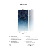 Veer Decor Starlights Pack 1 in Navy Wall Mural
