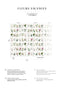 Papermint Wild Flowers Pack 1 & 2 in Multi Wall Mural