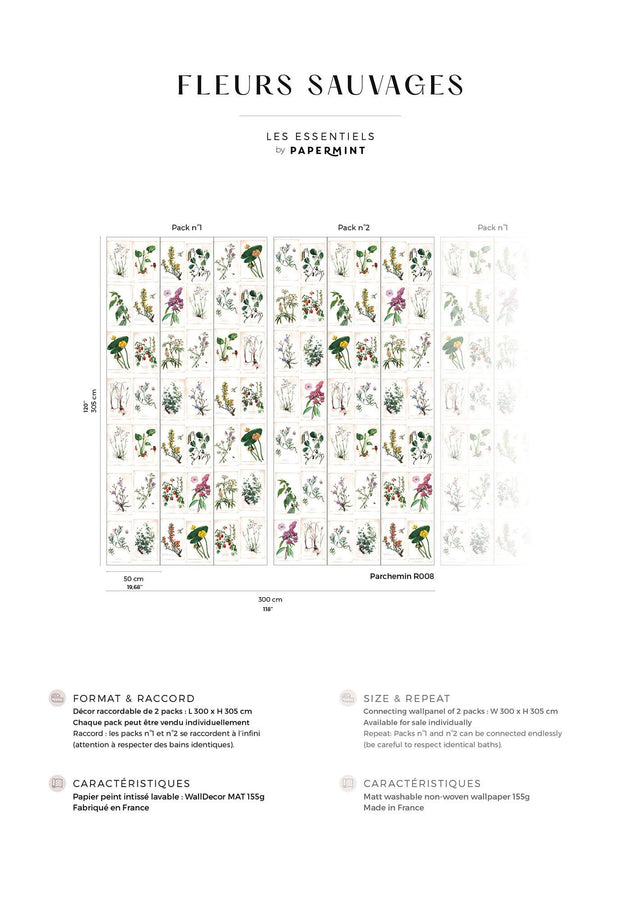 Papermint Wild Flowers Pack 1 & 2 in Multi Wall Mural