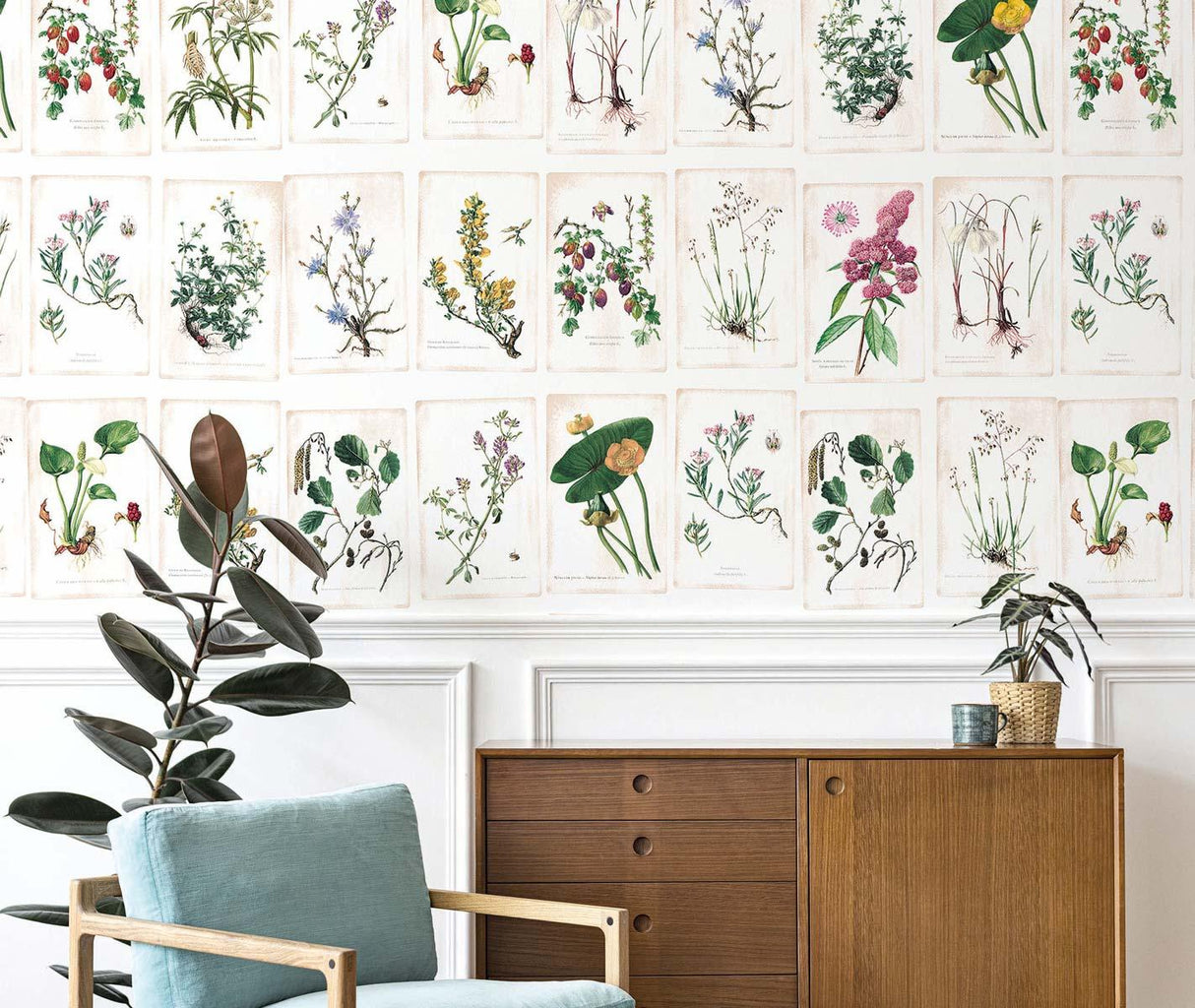 Veer Decor Wild Flowers Pack 1 & 2 in Multi Wall Mural