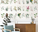 Veer Decor Wild Flowers Pack 1 & 2 in Multi Wall Mural