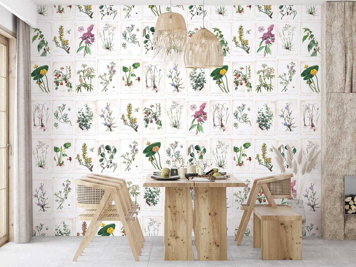 Veer Decor Wild Flowers Pack 1 & 2 in Multi Wall Mural