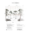 Papermint Shadows Pack 1 & 2 in Green Wall Mural