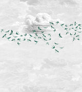 Veer Decor Swallow Clouds Pack 1 & 2 in Green Wall Mural