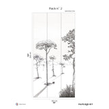 Papermint Shadows Pack 2 in Beige Wall Mural