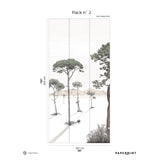 Papermint Shadows Pack 2 in Green Wall Mural