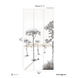 Papermint Shadows Pack 2 in Pink Wall Mural