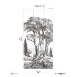 Papermint Porquerolles Pack 2 in Gray Wall Mural
