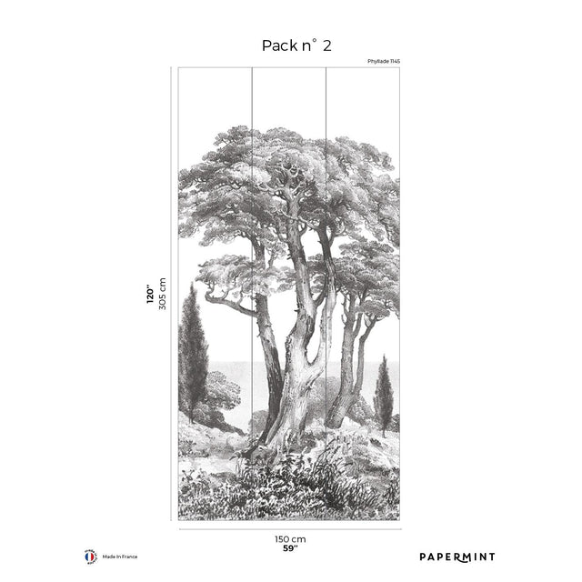 Papermint Porquerolles Pack 2 in Gray Wall Mural