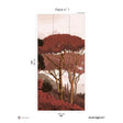 Papermint Tuscany Pack 1 in Orange Wall Mural