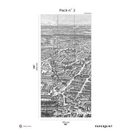 Papermint Eiffel Tower Pack 2 in Gray Wall Mural