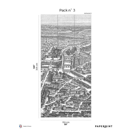 Papermint Eiffel Tower Pack 3 in Gray Wall Mural