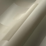 Seabrook Sphinx Sand Wallpaper