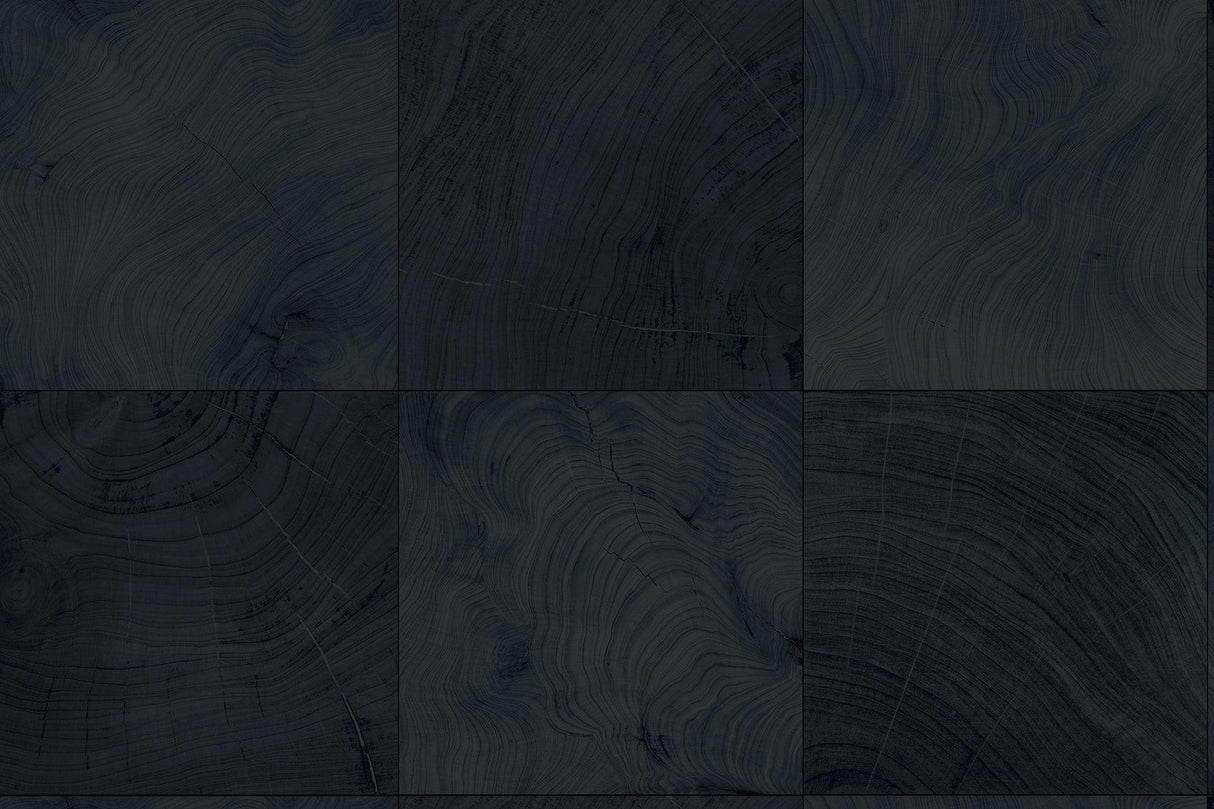 Seabrook Kemi Stargazer Wallpaper