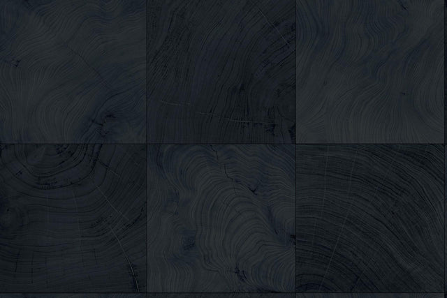 Seabrook Kemi Stargazer Wallpaper