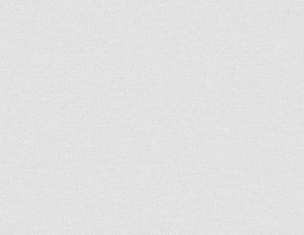 Seabrook Normandy Ice Rink Wallpaper