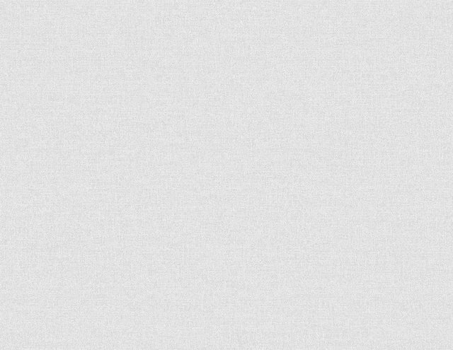 Seabrook Normandy Ice Rink Wallpaper