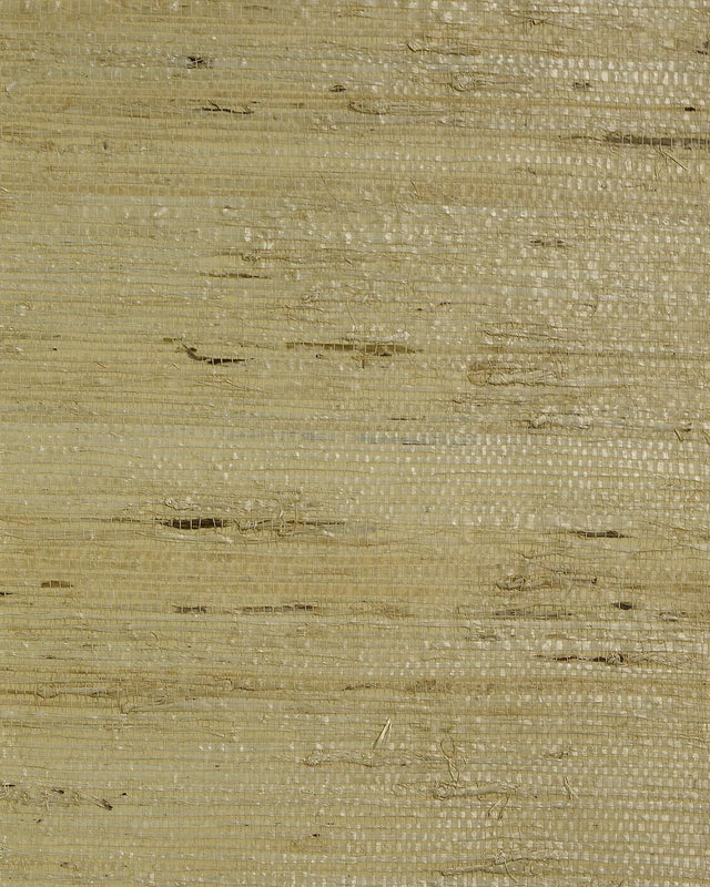 Seabrook Arrowroot Beige Wallpaper