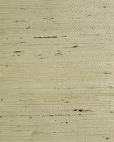 Seabrook Tightweave Arrowroot Summer White Wallpaper