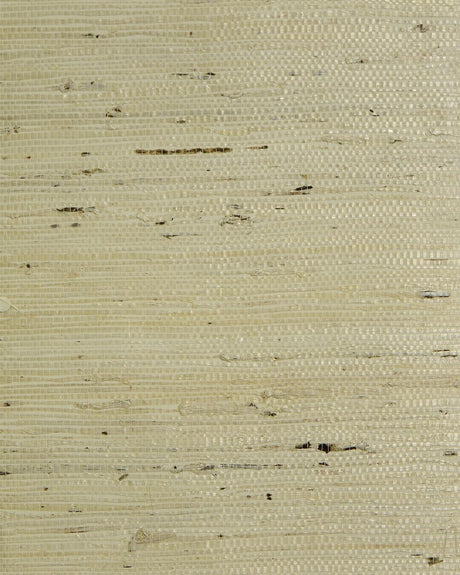 Seabrook Tightweave Arrowroot Summer White Wallpaper